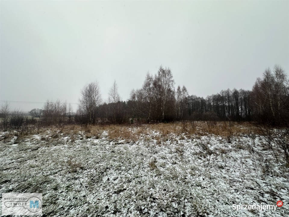 Działka Śladków Duży 43100m2 2zł/m2