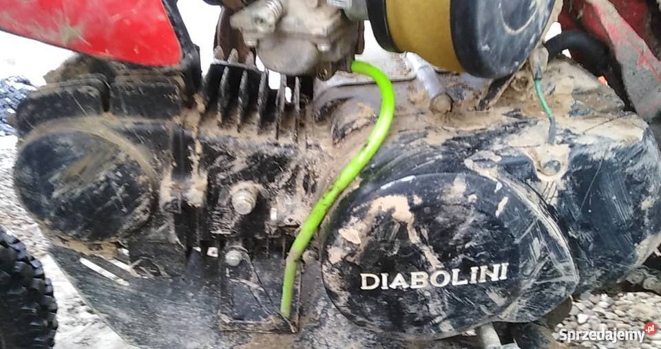 Diabolini 125