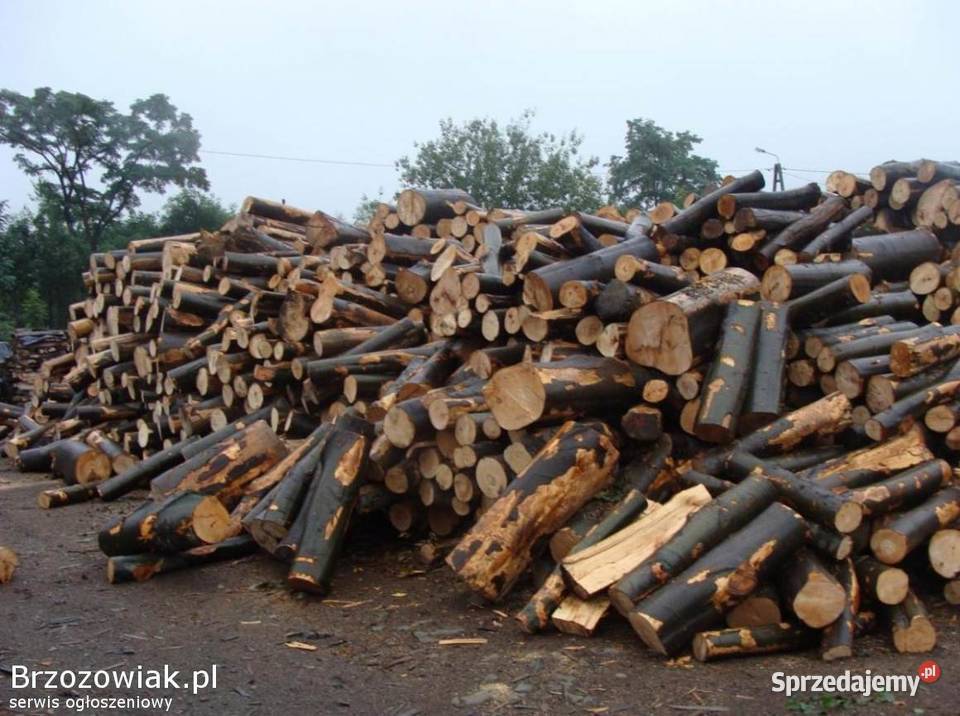 Drewno kominkowe dąbbukbrzozajesion Opał