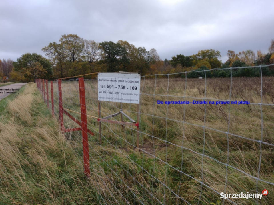 Sprzedam działki w Sasinie koło Łeby Nieruchomości Sasino