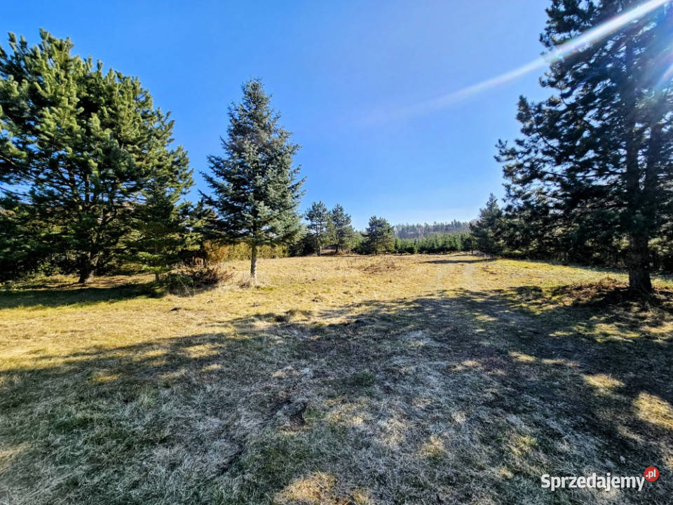 Działka budowlana 8600 m2 w klimatycznej