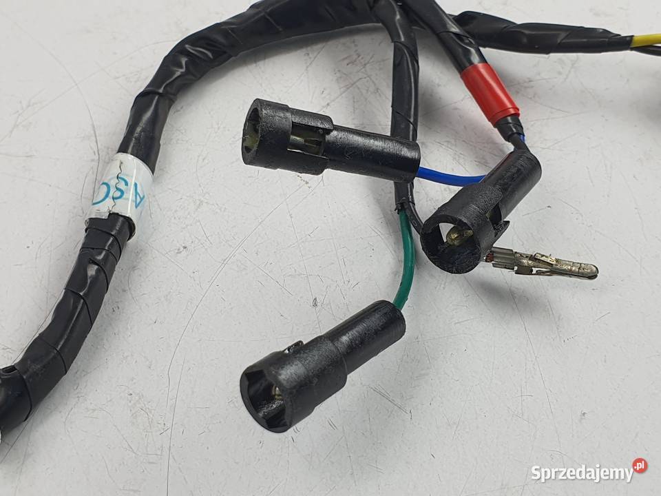 Kosrtka Wtyczka Wiazka Instalacja Triumph Speed