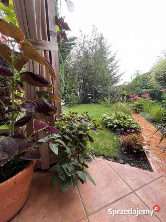 ZACISZNY DOM Z WIDOKIEM NA PANORAMĘ MIASTA Gorzów Wielkopolski