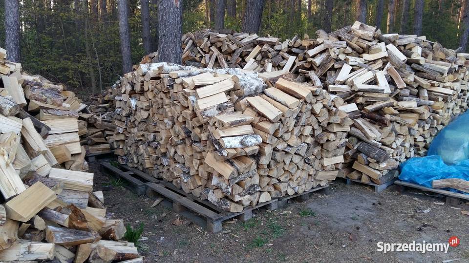 Drewno drzewo brzoza rąbane układane