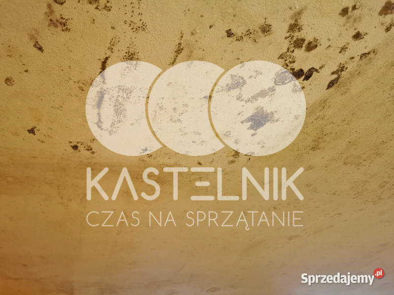 Odgrzybianie ścian Luboń Kastelnik Usuwanie