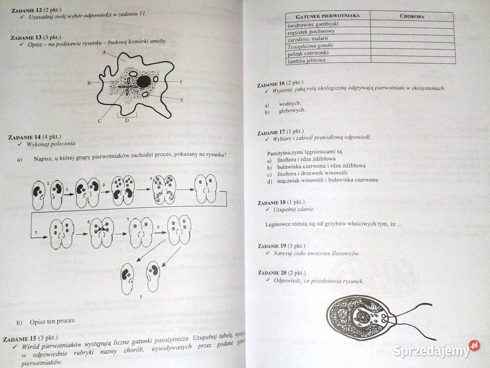 Testy maturalne biologia Andrzej Bajus