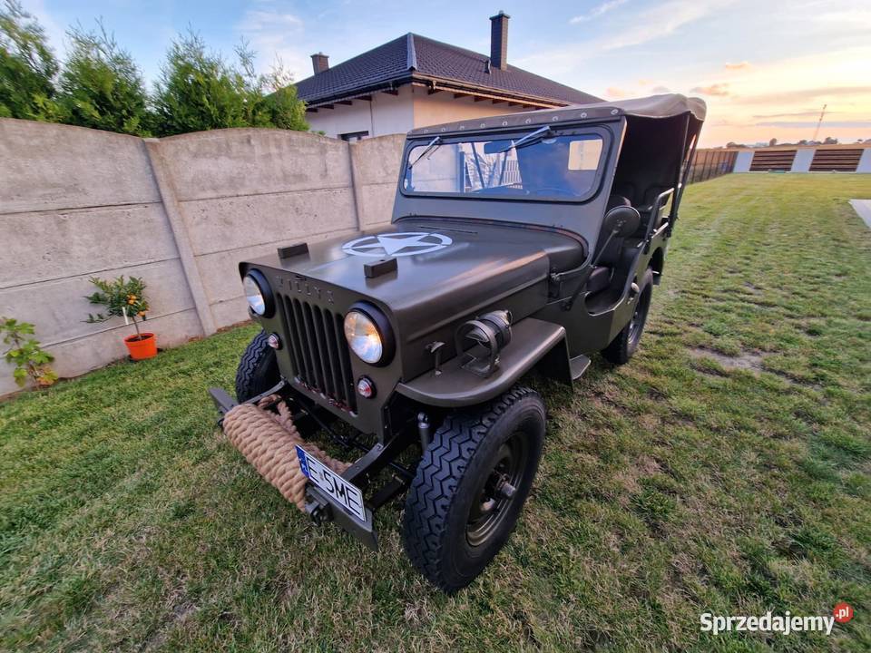 Jeep Willys CJ3B sprzedam