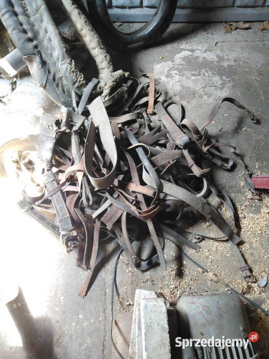 Sprzedam homonta z uprzężą końskie sprzedam