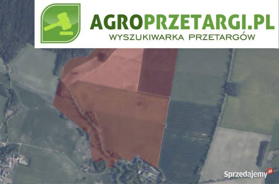 Dzierżawa 2020 ha gruntu rolnego pomorskie Chojnice