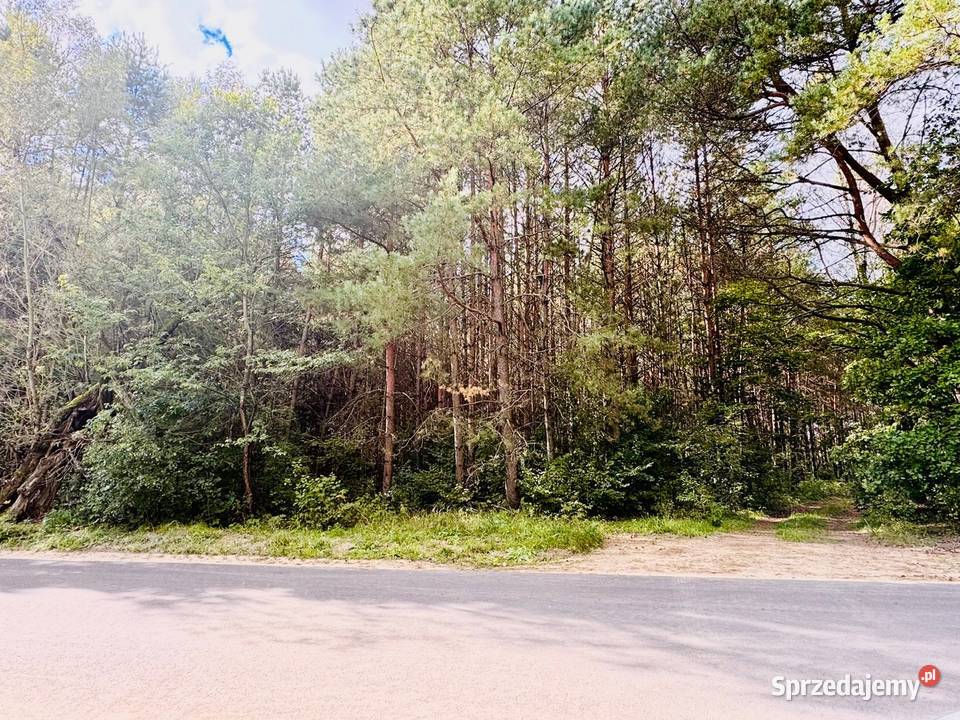 Wyjątkowa działka 242 ha wśród zieleni Cisza 24200m2 Drygały sprzedam