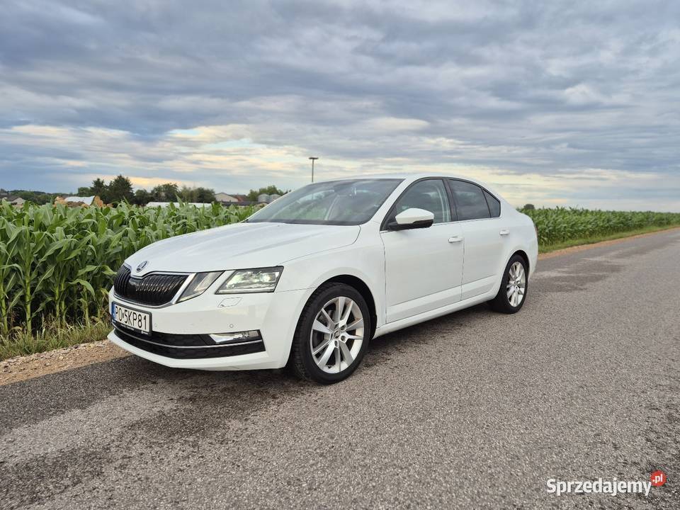 Skoda Octavia III 15tsi 150 ASO oryginalny Katowice