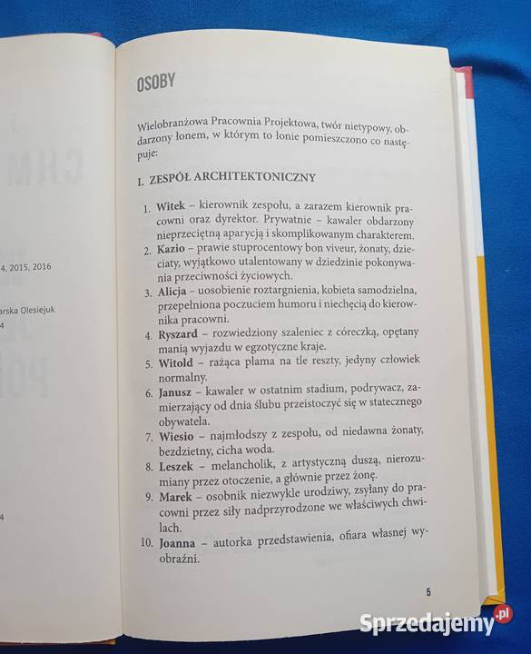 Joanna chmielewska Wszyscy jesteśmy podejrzani kryminały Koźminek