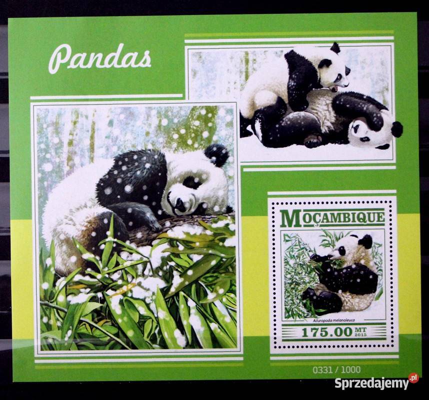 Mozambik panda 1 wielkopolskie Oborniki