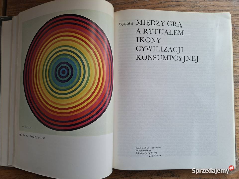Żywa sztuka współczesności Adam Radajewski twarda Książki naukowe i popularnonaukowe Kraków sprzedam