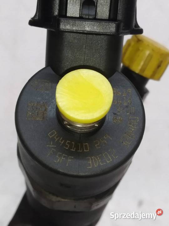 WTRYSKIWACZ 0445110259 16 HDI Citroen Xsara Rok produkcji 2006