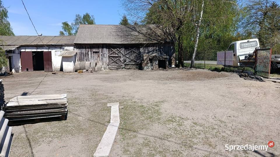 Siedlisko dom drewniany obora stodoła drewno Niedziałowice Pierwsze