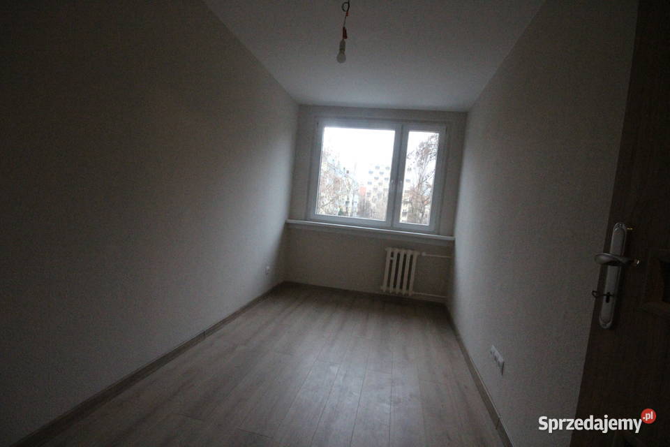 2pok 49met Pretficzna PEŁEN ROZKŁADKOMÓRKA Wrocław