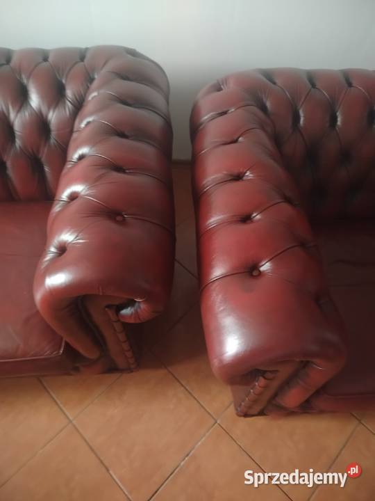 Chesterfield angielski Biała Podlaska