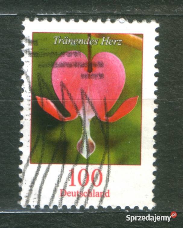 Zn RFN wykaz w opisie kas 2006 Gliwice