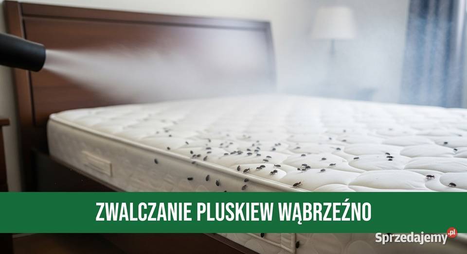 Zwalczanie Pluskiew Wąbrzeźno Odpluskwianie Dezynfekcja i sterylizacja