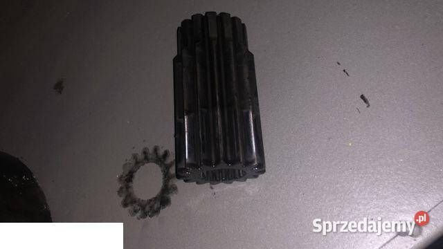 Sanderson Zwolnica Carraro wielkopolskie Jastrzębniki