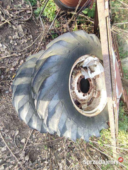 Opony z felgami 169 28 Zduńska Wola