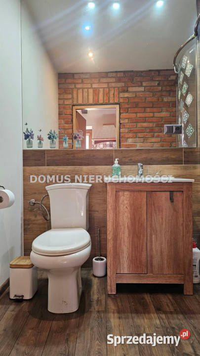 Dom Brzeziny 361m2 Sprzedaż Domy