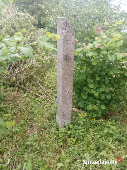 Stare słupki betonowe Wolica