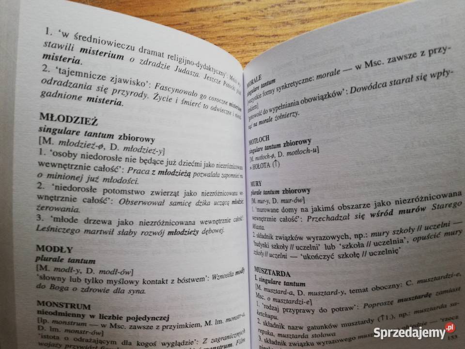 Mały słownik terminów gramatycznych rzeczowników Kraków