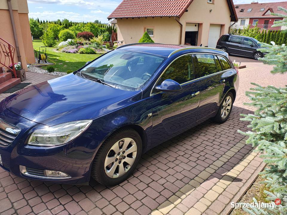 Opel Insignia 20 CDTI automat 2013 Insignia Rokitki