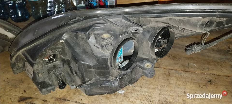 Lampy Xenon ford focus lift Lubraniec