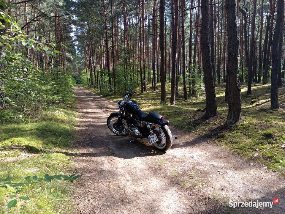 HarleyDavidson Sportster Harley Davidson chopper mazowieckie Płock