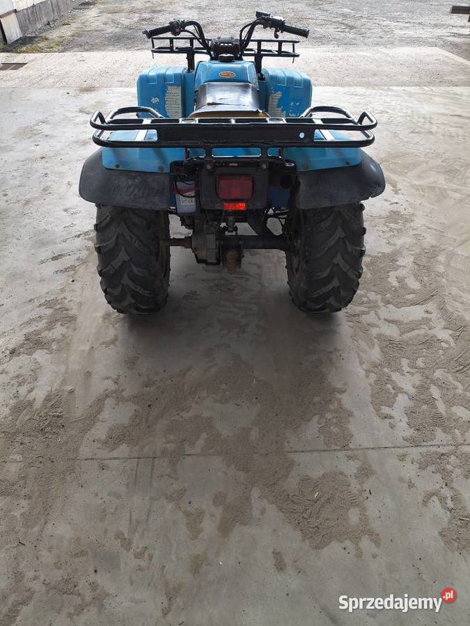Yamaha BigBear 350 4x4 Lucynowo