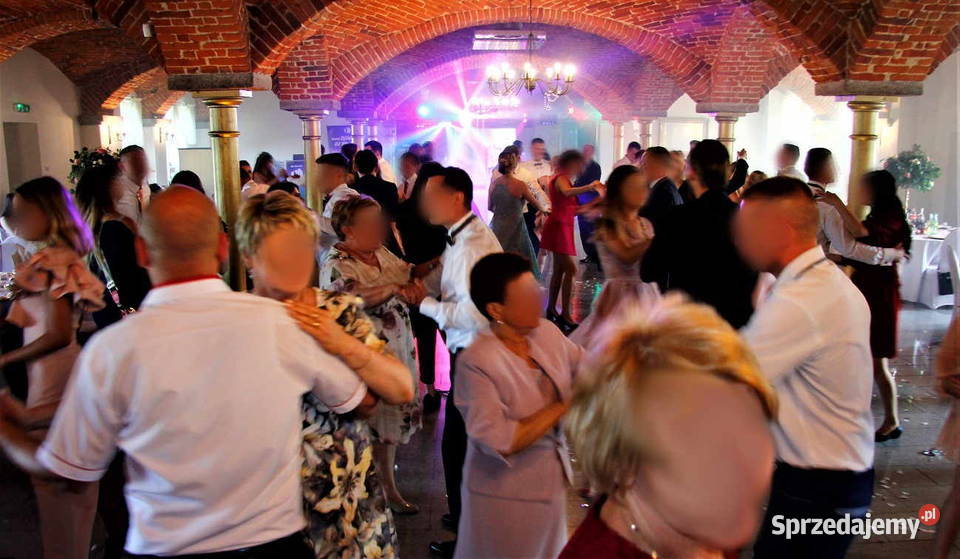 DJ Jarecki Wodzirej na Wesele dolnośląskie Wrocław