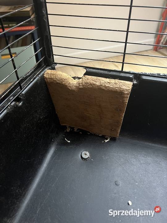 Klatka gryzonii duża szczur szczurów szynszyli