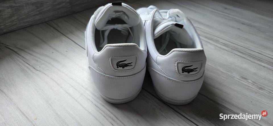 Buty meskie lacoste pomorskie sprzedam