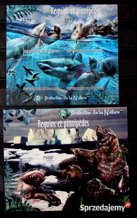 Burundi 25502553 4 jpg