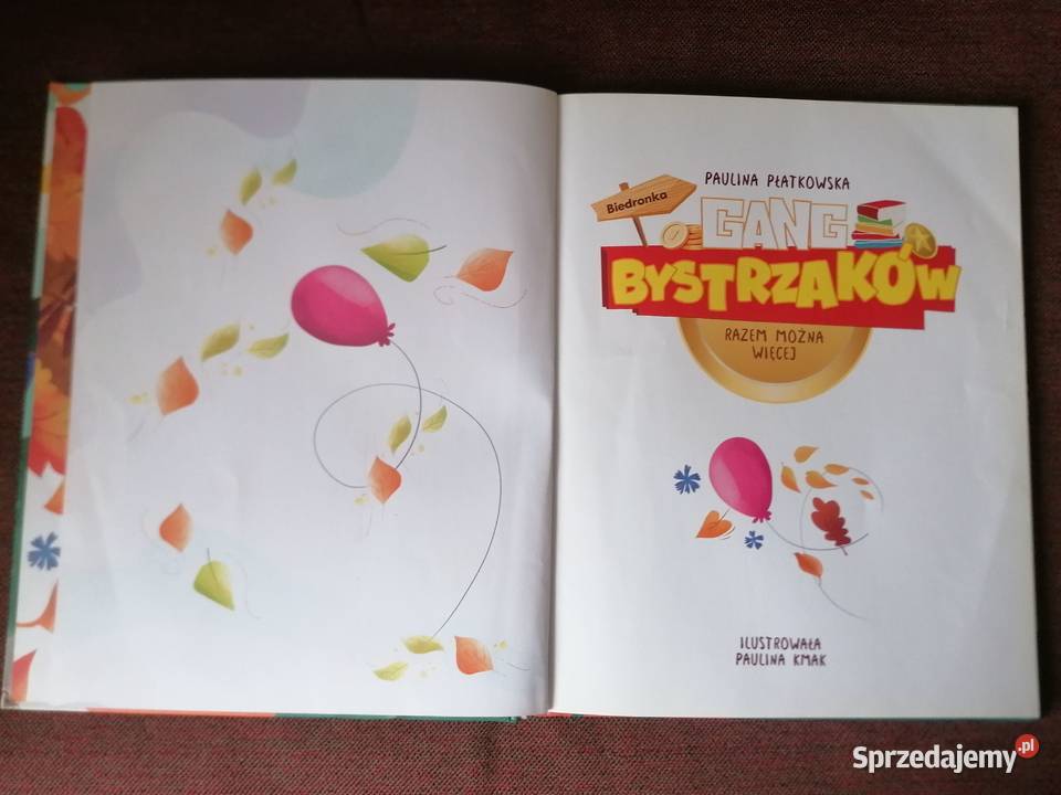 Książka Gang BystrzakówRazem można więcej