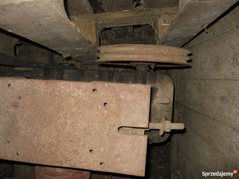 łamacz do mięsa i kości Złota