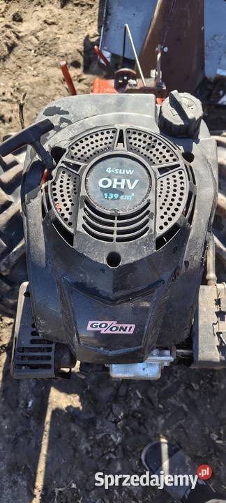 Dzik SAM 4t ohv 140 przyczepka wsteczny mocny Rogowo