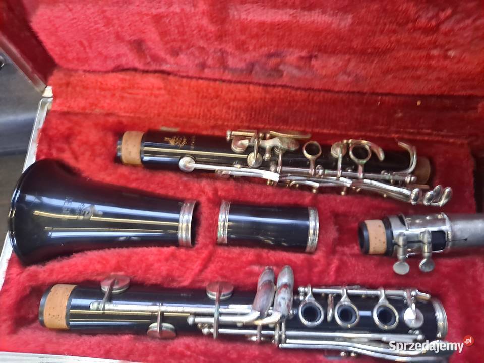 Gitara goshe japońska Głogów Małopolski