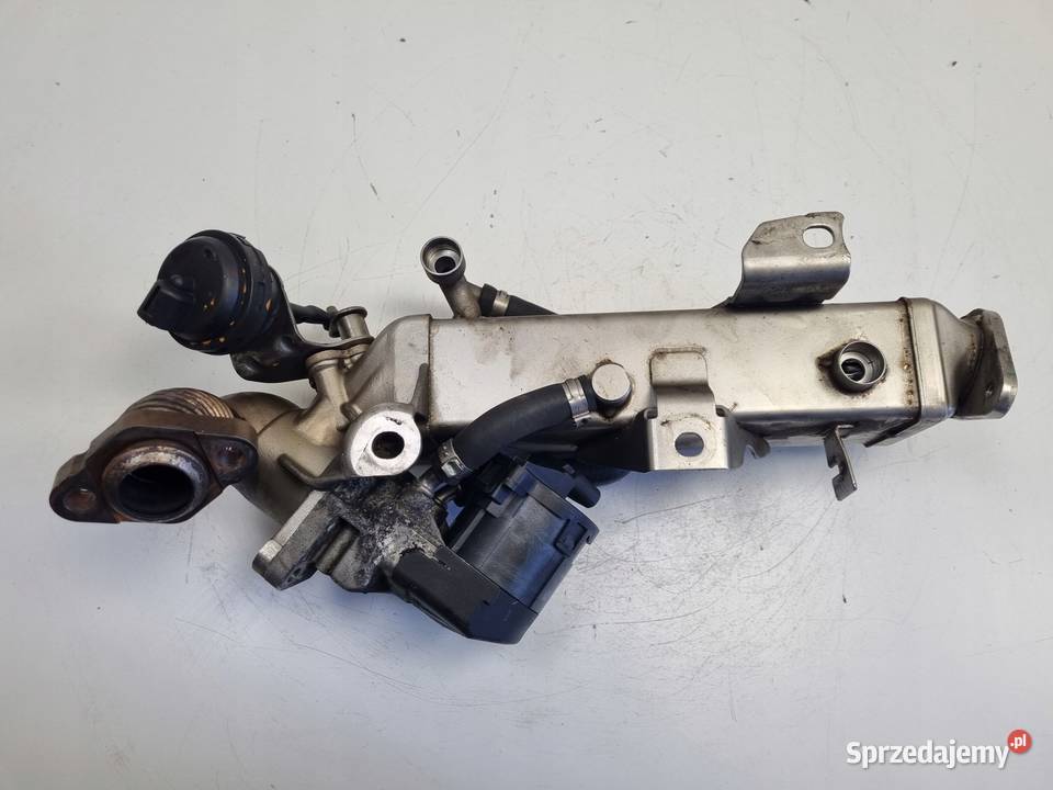 CHŁODNICA SPALIN BMW F10 F11 F30 20 D Recyrkulacja spalin EGR Rudka