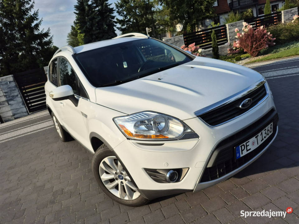 Ford Kuga pdc bezwypadkowy climatronic bez rdzy Drelów sprzedam