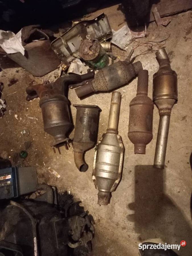 Katalizator lubelskie Puławy