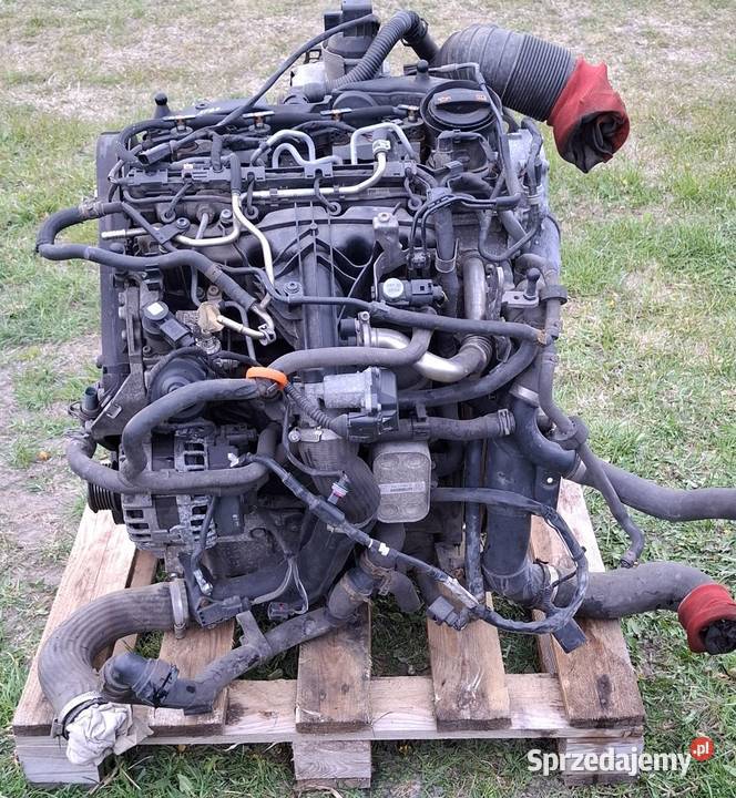 Silnik 20 TDI 140 CFF CFFB Passat b7 b8 A3 8P osobowe lubelskie