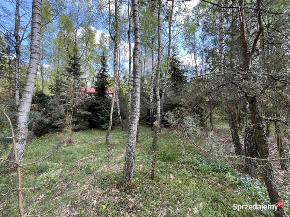 Działka z domkiem letniskowym w klimatycznym 1200m2 Rynia sprzedam
