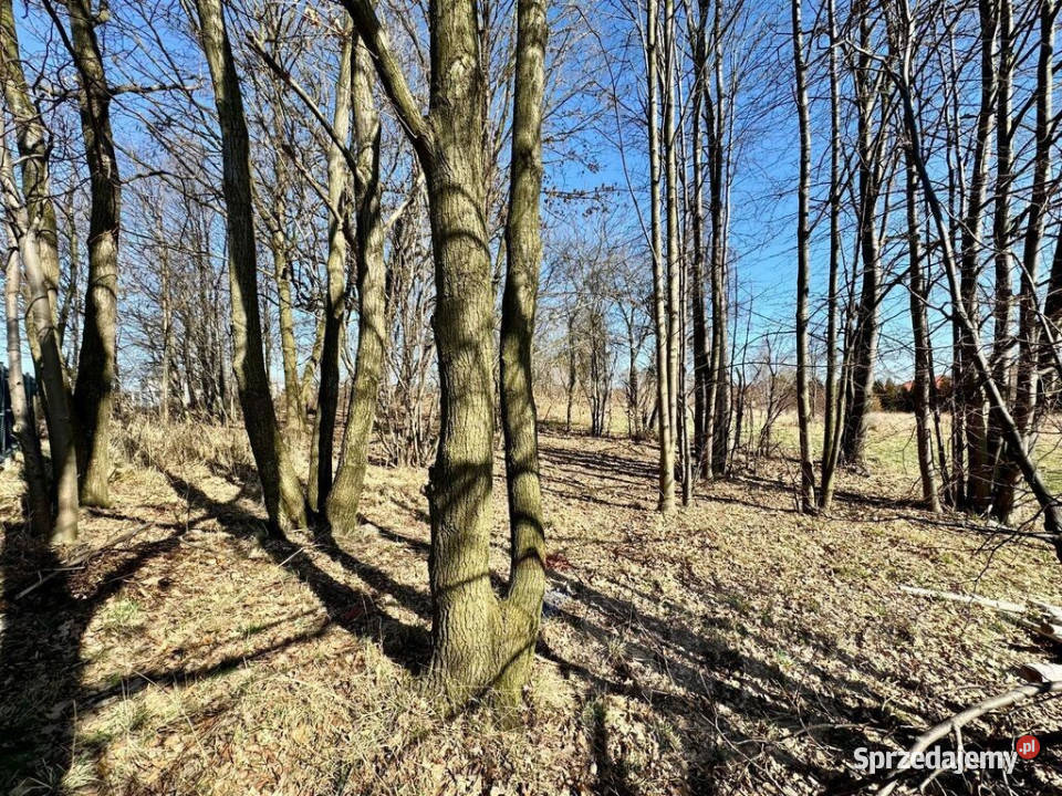 Działka budowlanousługowa Radlin Biertułtowy