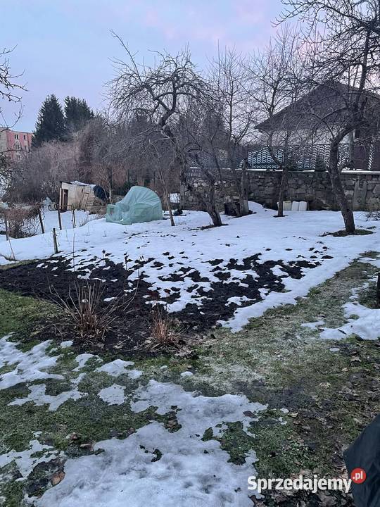 Sprzedam mieszkanie 4884 metry z ogródkiem do 4300zł/m2 warmińsko-mazurskie Węgorzewo