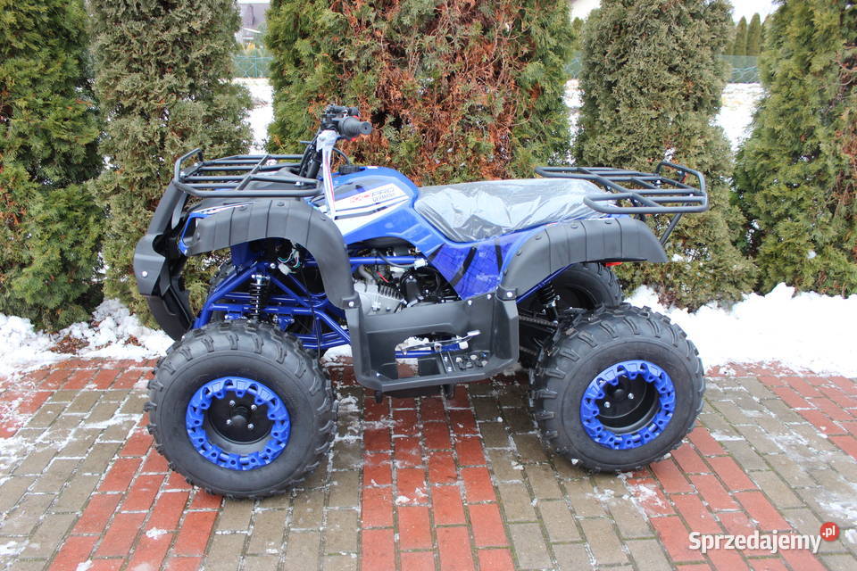 Quad 125 150 cc 4t Hammer benzyna KXD duża rama 150cm3 Goleniów