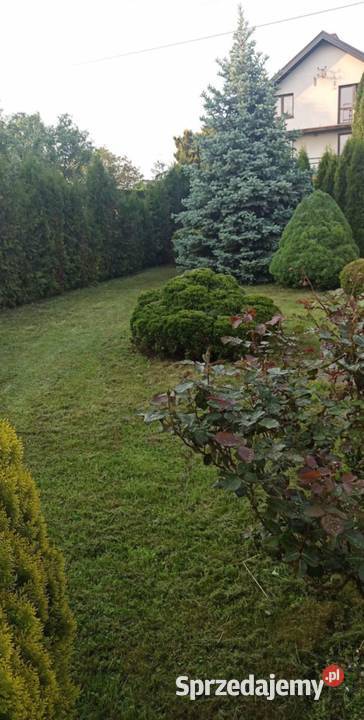 Sprzedam dom z działką mazowieckie Platerów